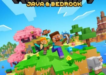 Getsockopt Minecraft Error