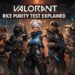Valorant rice purity test